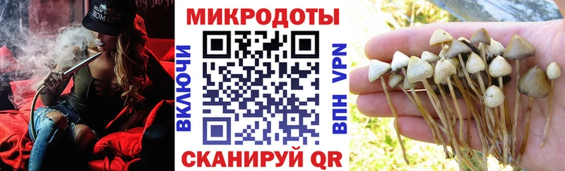 Галлюциногенные грибы Psilocybine cubensis  Чистополь 