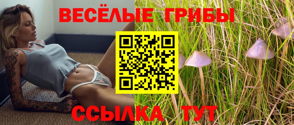 Галлюциногенные грибы Magic Shrooms Чистополь