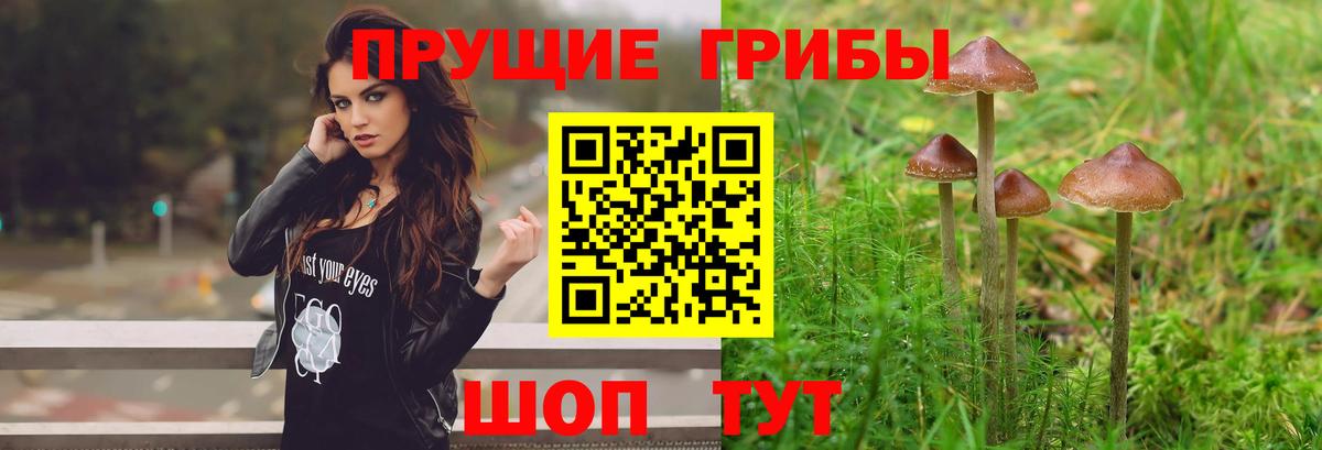 Галлюциногенные грибы мицелий  Вход с VPN  Чистополь 